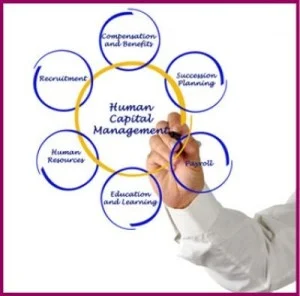 Impact-Executive-Solutions-Human-Resources-services1